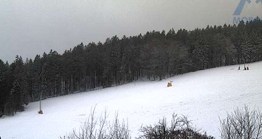 Greising ist weiss