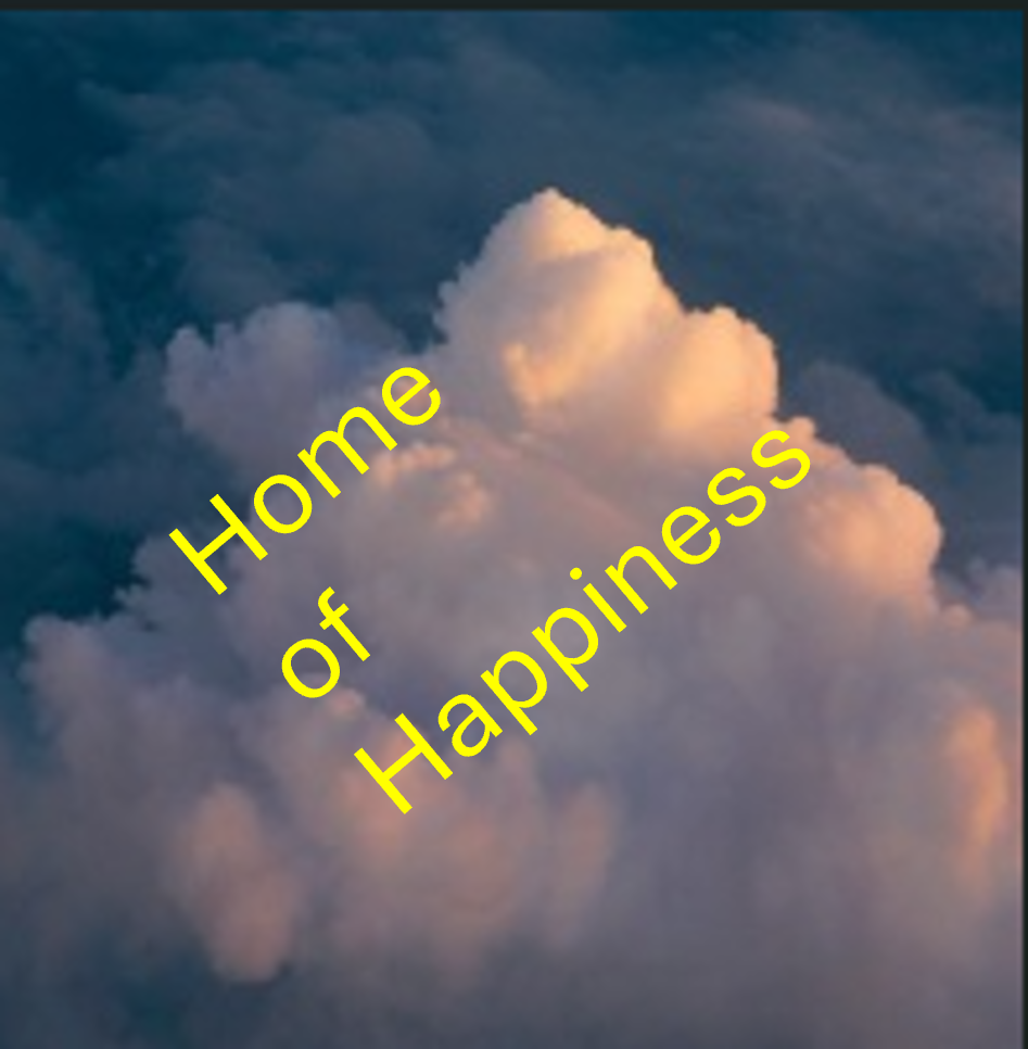 happiness